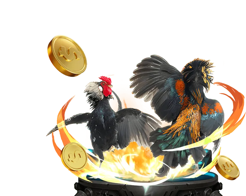 Cá cược bóng đá trên fly888